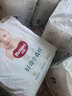 好奇（Huggies）小森林拉拉裤XXXL28片(17kg以上)心钻【透氧顶配更低敏】 实拍图