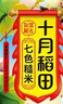 十月稻田 七色糙米 5斤 糙米饭 粗粮主食 新米 黑米 健身粥米 五谷杂粮米 实拍图