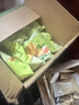 比比赞（BIBIZAN）网红蔬菜薄脆小饼800g整箱办公室休闲零食品早餐代餐饱腹糕点饼干 实拍图
