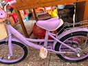 奥仕龙（AO SHI LONG）库洛米儿童自行车女孩5-6-8岁小孩单车16寸脚踏童车 源头直发 实拍图