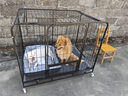 腆宠狗笼 狗笼子大型犬中型犬小型犬带厕所加粗狗窝家用宠物笼子围栏 实拍图
