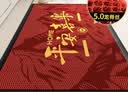 丰亮入户地垫门口脚垫进户门高端别墅户外地毯门垫防滑垫蹭土耐脏垫子 实拍图