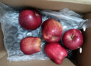 京鲜生 甘肃天水花牛苹果 又大又红 净重4斤 单果160g起  新鲜水果  实拍图