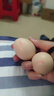 京鲜生富硒鲜鸡蛋30枚 3斤 源头直发 实拍图