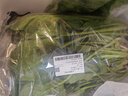 大菠菜300g 实拍图