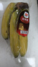 都乐Dole 菲律宾进口香蕉 超甜蕉650g*2包 香甜软糯 包邮 水果 实拍图