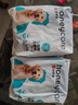 HONEYCARE好命家 狗狗纸尿裤公狗尿不湿生理裤L码适用体重13-30kg/6片装 实拍图