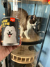 顽皮（Wanpy）狗狗罐头主食湿粮营养宠物零食 鸡肉牛肉配方375g原生力升级 实拍图