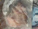 龙大肉食 黑猪猪肚400g 蓬莱生态黑猪肉生鲜 猪肚鸡猪肚丸猪肚火锅原料 实拍图
