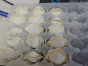 吴大嫂 东北水饺 猪肉芹菜 800g 40只 蒸饺煎饺锅贴速冻 速食早餐 实拍图