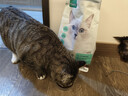 网易严选全价猫粮宠物主粮成幼猫三文鱼 深海鱼虾味1.8kg 【宠物金选】 实拍图