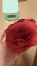 木丁丁红色花朵玫瑰蝴蝶兰边夹女森系氛围感发卡海边度假发饰拍照 花朵抓夹-红色 实拍图