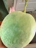 京鲜生 玉菇甜瓜 2粒装 单果重2-2.8斤净重4-5.5斤 生鲜水果礼盒 实拍图