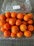京鲜生 砂糖橘/砂糖桔 净重2斤 生鲜年货水果  实拍图