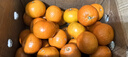 广西沃柑10斤新鲜纯甜橘子当季时令水果桔子柑橘应季整箱水果 9斤装（70mm+精选特大果） 实拍图