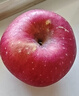 京鲜生 陕西洛川红富士苹果净重5斤80-85mm 单果200g+ 源头直发 实拍图