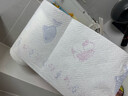 心相印卷纸/厨房用纸75节*8卷纸巾食品接触级（整箱销售 ） 实拍图