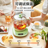 小熊（Bear）养生壶烧水壶恒温煮茶壶多档保温烧水炖煮壶一体多功能电热水壶花茶壶办公室玻璃烧水养生壶0胶水 YSH-B18T1【配实用滤网+蛋架】 1.5L 绿色 实拍图