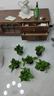 绿萝盆栽室内客厅绿植花卉 家用净化空气绿箩植物吸除甲醛吊兰 高20CM【加仑双层吸水】6盆+5肥 实拍图