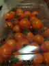 京喜加夏日阳光小番茄黄色迷恋圣女果即食水果小柿子现摘现发减肥 黄色圣女果1斤装 实拍图
