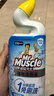 威猛先生（Mr Muscle）免刷洗 强效洁厕灵 洁厕剂 馥郁繁花型 马桶清洁 600gX2瓶 实拍图