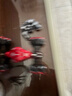 qdrone For the Good Moments手势感应变形遥控车儿童玩具男孩遥控汽车扭变特技车3-6-12岁 30cm红【双电+三控+灯光】 高速四驱男孩生日礼物儿童新年礼物男孩 实拍图
