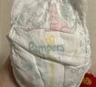 帮宝适袋鼠裤拉拉裤新生儿婴儿尿不湿尿片 超薄透气夜用 XL25 实拍图