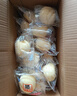 港荣蒸蛋糕淡糖450g小面包蛋糕早餐饼干中西式糕点纯蛋糕年货节礼物盒 实拍图