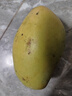 壹萌果蔬金煌芒芒果 当季现摘广西大芒果新鲜水果青芒果整箱送礼 5斤臻品果【单果300g+】 净4.5斤 实拍图
