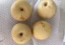 京喜加赵州皇冠梨河北皇冠梨产地直发 单果200g+ 带箱9-10斤（净重8.2斤） 实拍图