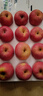 京鲜生 烟台红富士苹果 净重10斤 单果190g以上 生鲜水果 礼盒装 实拍图