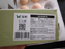 双枪定量盐罐子调料盒调料罐调味盒控盐罐盐瓶通用调料瓶绿色款200ml  实拍图
