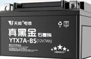 天能电池免维护摩托车电瓶YTX7A海王星女装踏板车铃木12v通用蓄电池 实拍图