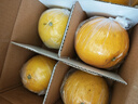京鲜生 爆汁黄金葡萄柚 精选6粒  单果400g-550g  生鲜水果年货礼盒 实拍图