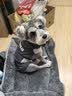 贝初众狗窝四季通用猫窝大中小型犬狗垫子狗狗睡垫狗床泰迪宠物狗窝保暖 灰色-M【60*45cm】建议15斤内 【加绒加厚】 【加量充棉】 实拍图