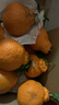生活＆好管家 四川春见耙耙柑新鲜水果应季橘子现摘孕妇水果整箱桔子橘子 优选级市场果 8.5-9斤【单果80-85mm】净重8斤 实拍图