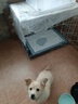 欢刻狗笼小中大型犬狗笼子猫笼带厕所加粗折叠宠物笼子柯基笼幼犬狗笼 白色加粗狗笼71*50*60【25斤内】 实拍图