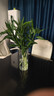 【富贵竹】水培节节高室内绿植客厅招财植物鲜花卉好养常绿七夕 绿色水培富贵竹70cm10枝 实拍图