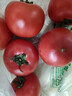京鲜生 山东海阳普罗旺斯净重4.5斤单果150g起新鲜沙瓤西红柿源头直发 实拍图