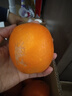 壹棵弘芯正宗高山脐橙橙子应季新果时令湖北新鲜水果手剥橙子生鲜整箱 严选超值装净重4斤 单果约为80g+ 实拍图