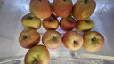 京鲜生 新疆阿克苏苹果 净重9斤装 果径90-95mm 新鲜水果 实拍图