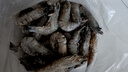 天纵良材进口巨型黑虎虾 活冻大虾老虎虾斑节虾对虾 年货礼品 生鲜海虾 巨型20-24只 2.6斤(净重)  20-22CM 实拍图