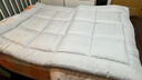 京东京造抗菌云感棉花床垫 新疆棉床褥加厚可折叠学生四季可用软垫 1.5x2m 实拍图