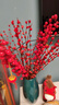 【红色招财银柳】干花真花鲜枝耐寒年宵花水培花卉室内摆放装饰花 60厘米【30支】送灯笼 实拍图