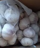 大蒜头出口品质网兜紫蒜蔬菜调料新鲜大果烧烤火锅食材 【精品网兜装】5斤装 2300g 实拍图