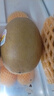 佳沛（zespri）新西兰阳光金奇异果 8个装 特大果单果重约122-146g 水果猕猴桃 实拍图