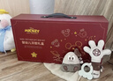 迪士尼（Disney）婴儿摇铃礼盒牙咬胶捏捏乐安抚口水巾玩偶宝宝哄睡新生儿新年礼物 实拍图
