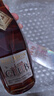 人头马（Remy Martin）洋酒 CLUB优质香槟区干邑白兰地 500ml 潮汕限量版 新年送礼 实拍图