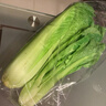 小白菜约250g 实拍图