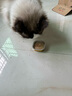 网易严选猫零食罐头猫用浓汤随享罐猫罐头 鱼肉磷虾40g*6罐 实拍图